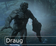 Draug