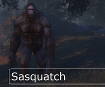 Sasquatch