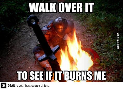 cbe2ef69706c6b2151f3ea1974519564--very-funny-pictures-funny-photos.jpg